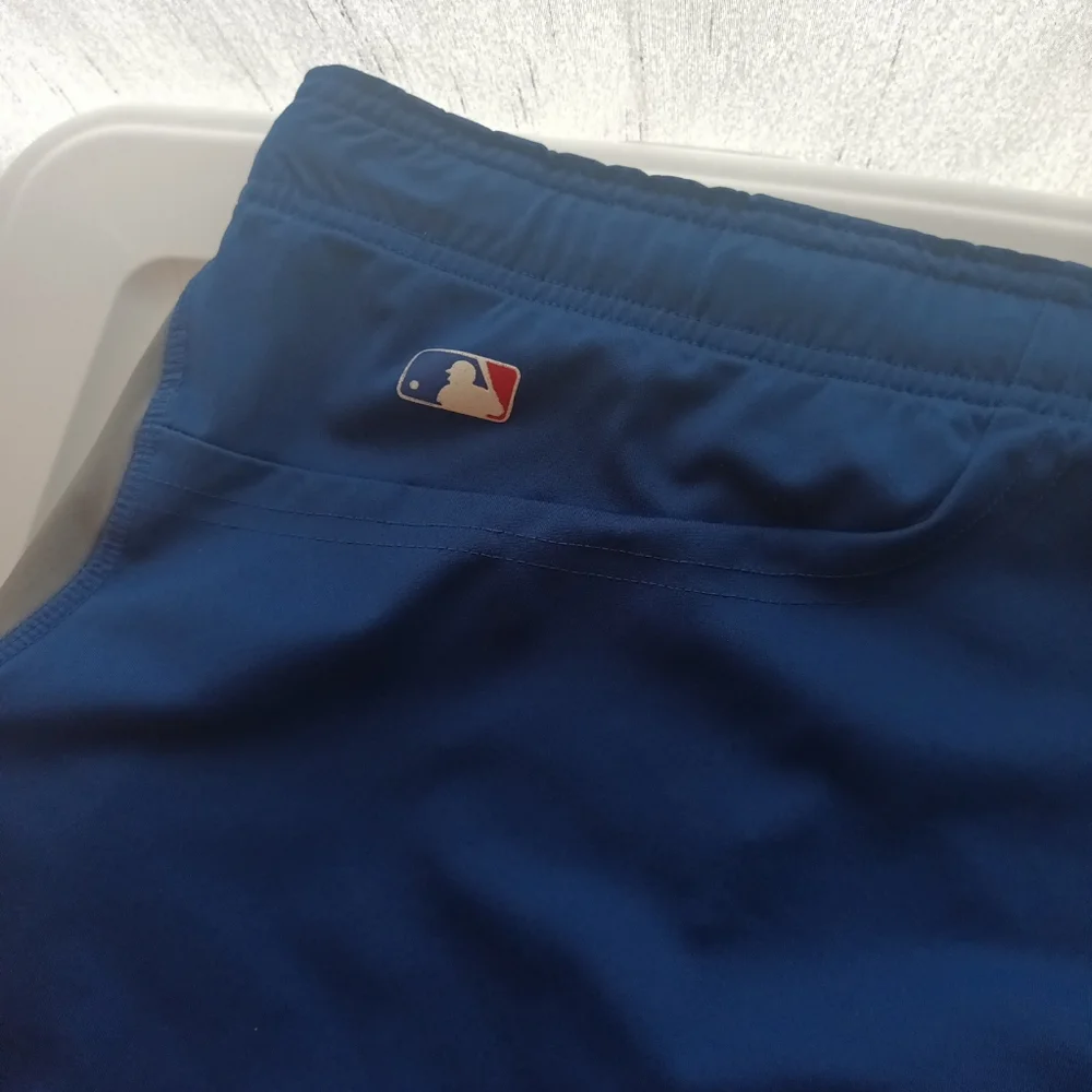 Nike Dri-Fit LA Color Block Blue/Gray Shorts Size Large
